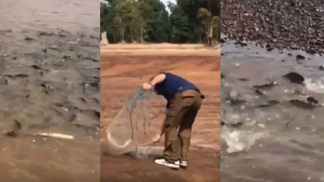 Video: pescadores entrerrianos le salvaron la vida a cientos de peces