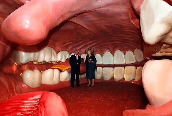 El sorprendente cuerpo humano