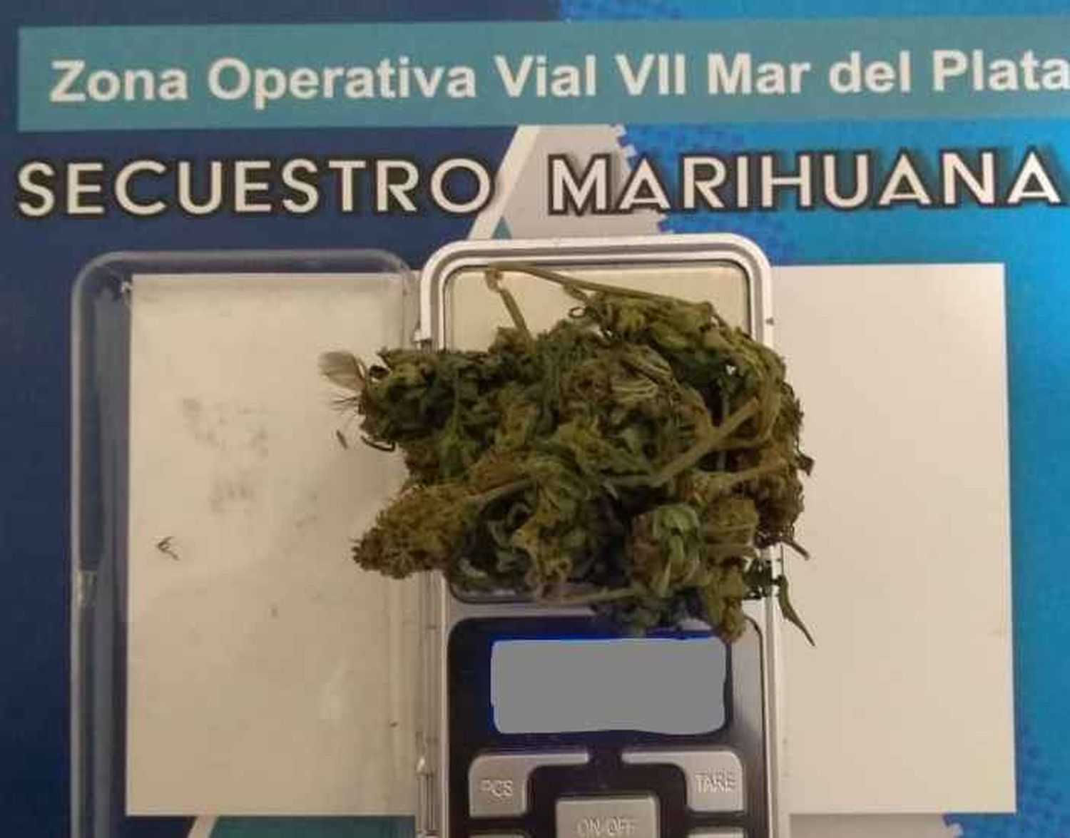 Los frenaron en Chapadmalal: un pasajero sin permiso y con droga