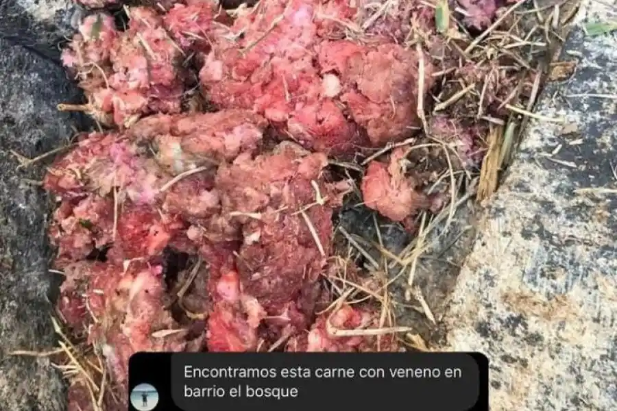 Captura @humanosrafaela