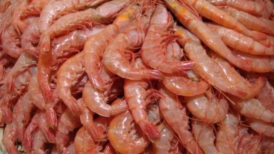 "Mar del Plata no tiene desarrollo con el langostino"
