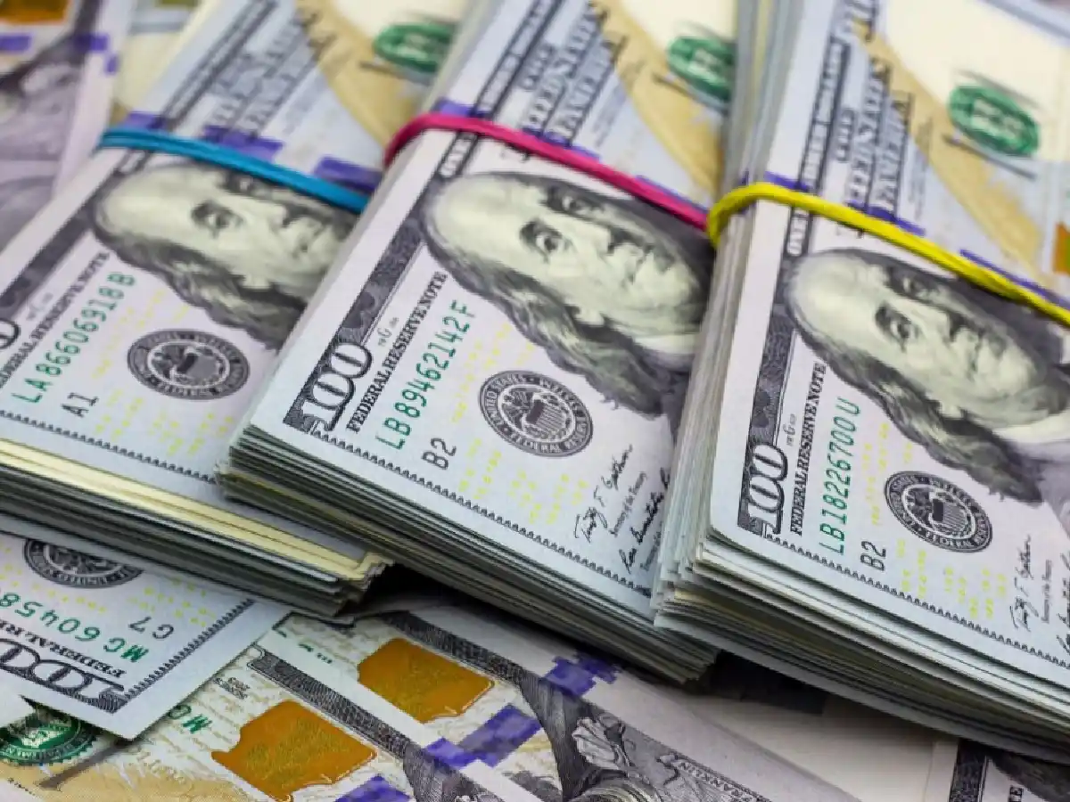 Los detalles de los cambios para la compra de dólar ahorro