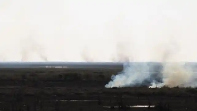 Rosario volvió a pedir ayuda por las quemas en las islas