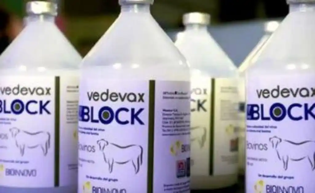 Se venderá en Perú la vacuna argentina contra la diarrea viral bovina