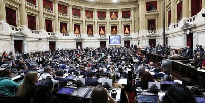 Plan "motosierra": el gobierno de Milei advierte que seguirá con las reformas anunciadas
