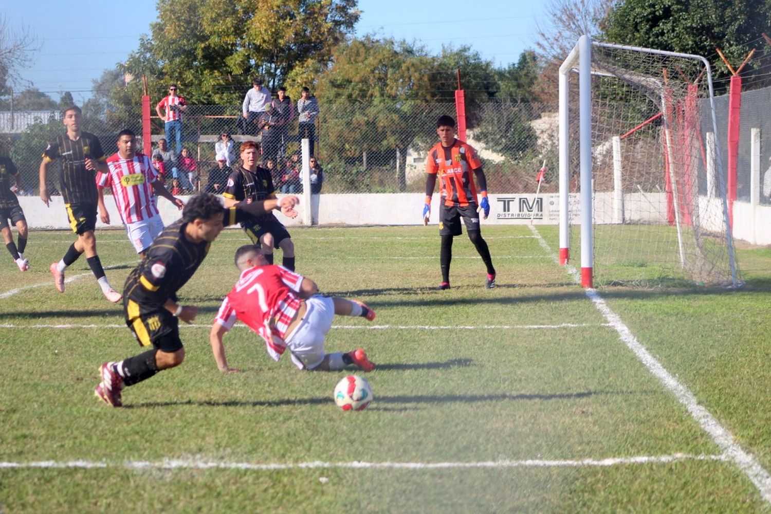 juventud
