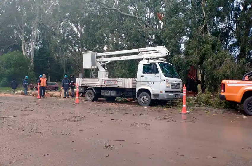 Defensa Civil alertó sobre el fuerte viento y pidió informes al Emvial sobre el estado de las luminarias