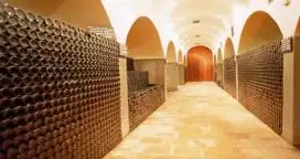 Bolivia cerró importación de uva y vinos por tres meses