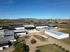 A un año de la puesta en marcha, Cagnoli retoma las exportaciones desde su planta de desposte