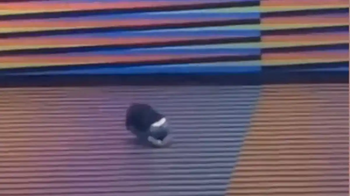 MIGRACIÓN VENEZOLANA: La tragedia que muchas familias viven en silencio