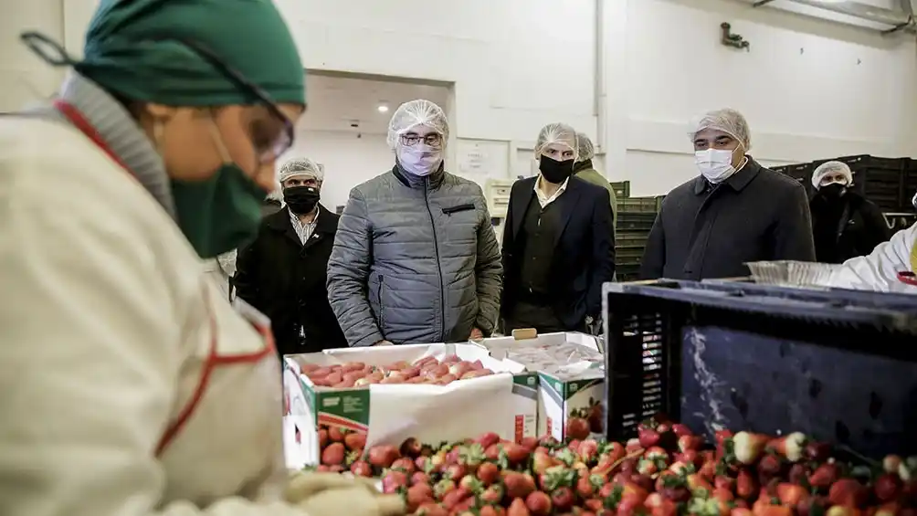 Productores y pymes elogian la baja de derechos de exportación de economías regionales