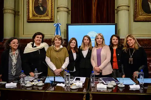 Presentaron en el Senado la Red de refugios para mujeres violentadas