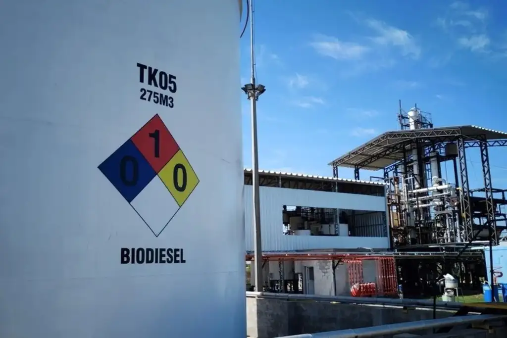 Biodiesel con gasoil