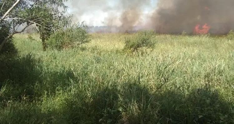 Por incendio en zona de Los Lobos Prefectura envió una embarcación