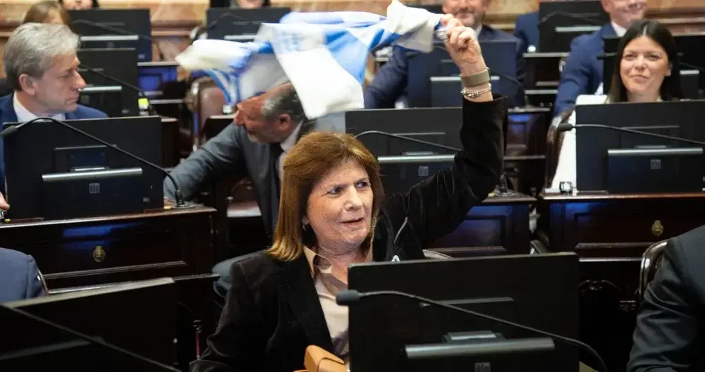 Patricia Bullrich, quien llevó adelante el proyecto de desalojo y expropiaciones oficialista al Senado.

XPatoBullrich