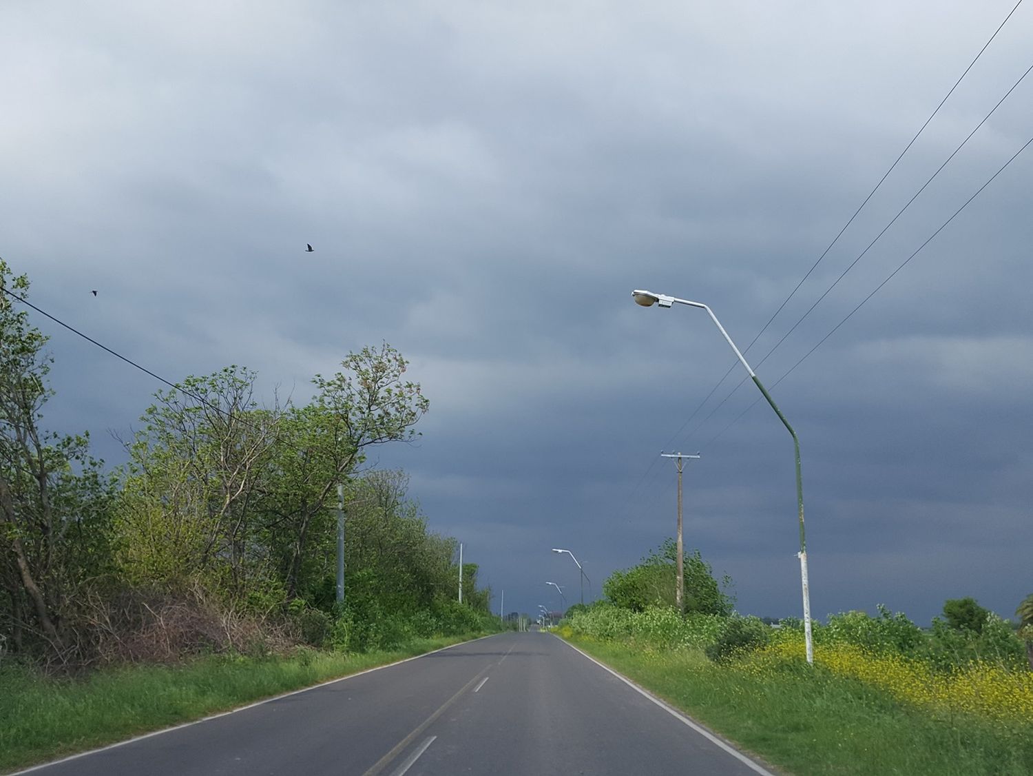 Rige otro alerta por tormentas fuertes