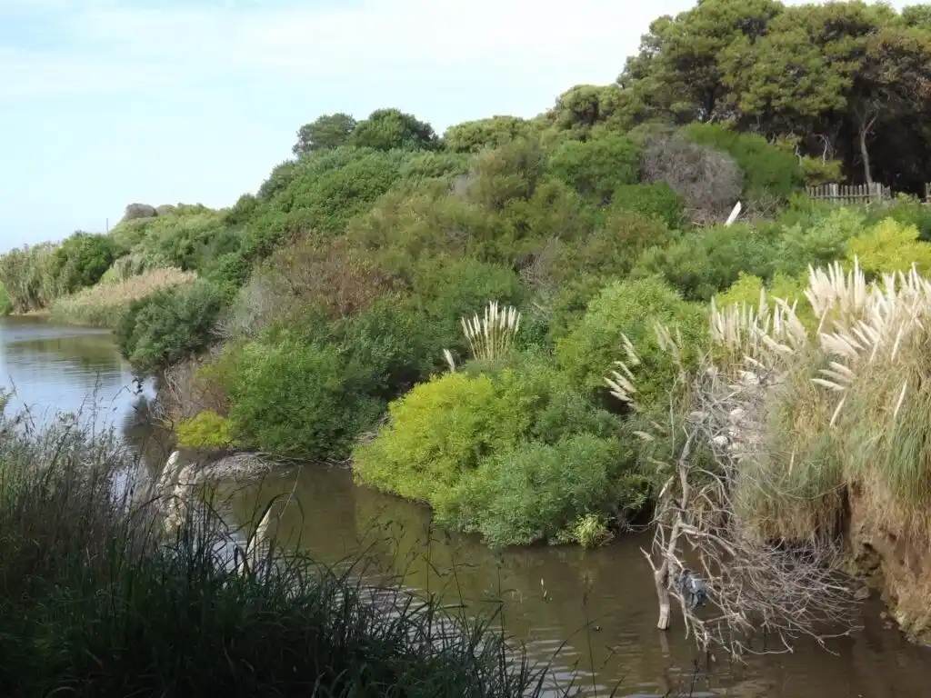 Reserva Explanada: “Estamos frente a un proceso en el que la excepción es la norma”