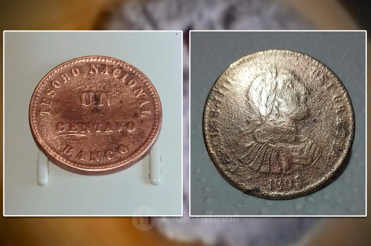 La increíble historia detrás de la moneda macuquina del siglo XVII encontrada en San Jerónimo del Sauce - 2