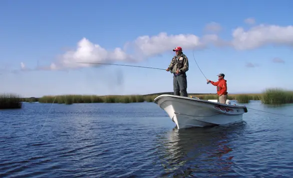 Avanzan en la repoblación de pejerreyes en lagunas bonaerenses  