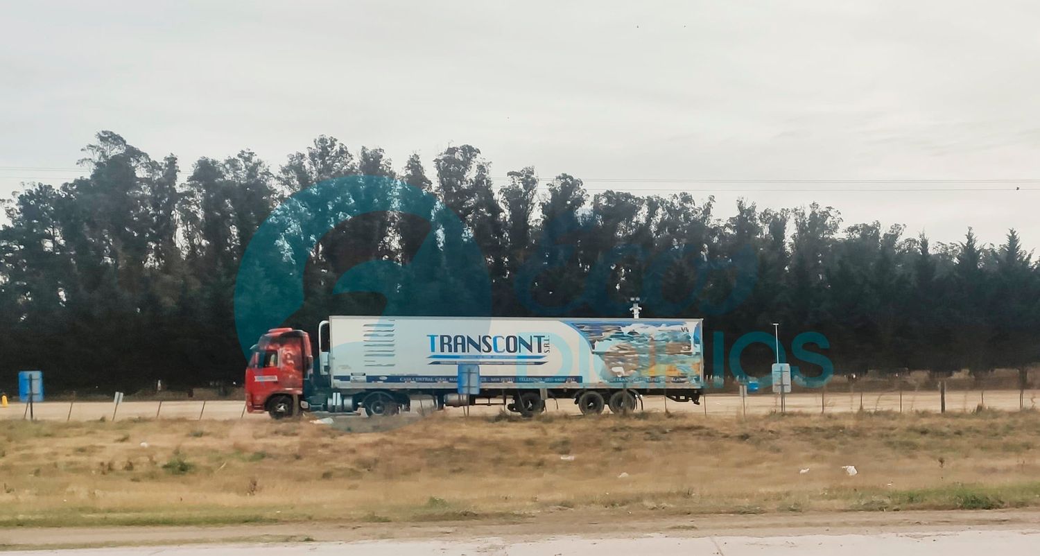 Insólito Le Robaron Una Particular Mercadería A Un Camionero Mientras Dormía Ecos Diarios 8984