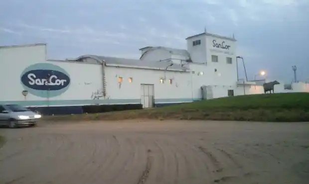 Se agudiza la crisis: Sancor cerró 4 plantas y peligran 500 puestos de trabajo