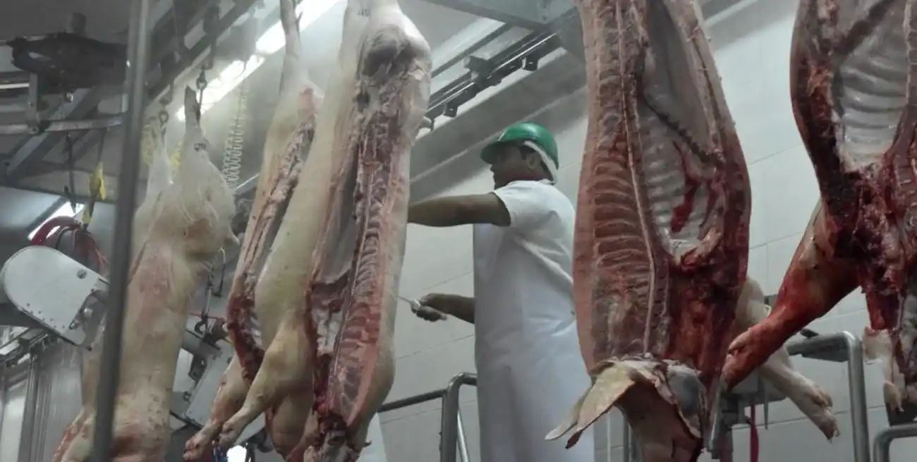 Crítica situación de los productores de cerdos.