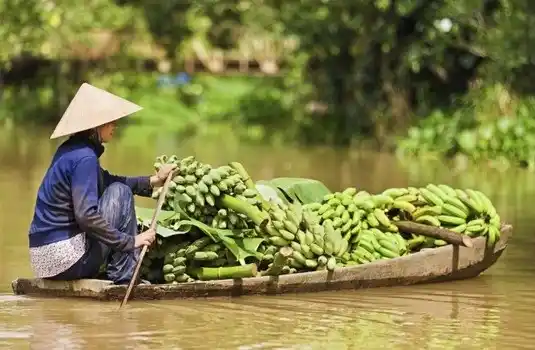 Vietnam, un modelo híbrido al estilo chino