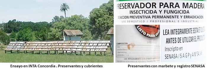  Realidades de la madera impregnada,  preservada, tratada, y de lasures⬦.