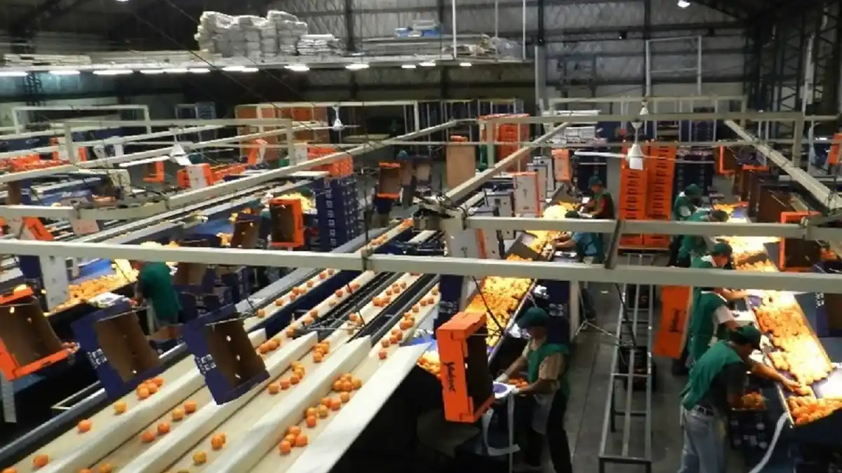 El RINI entrerriano suma 125 empresas con proyectos que superan los 208 millones de dólares en inversión