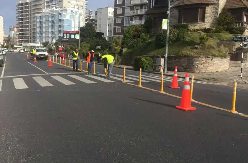 Un zoológico en la bocacalle