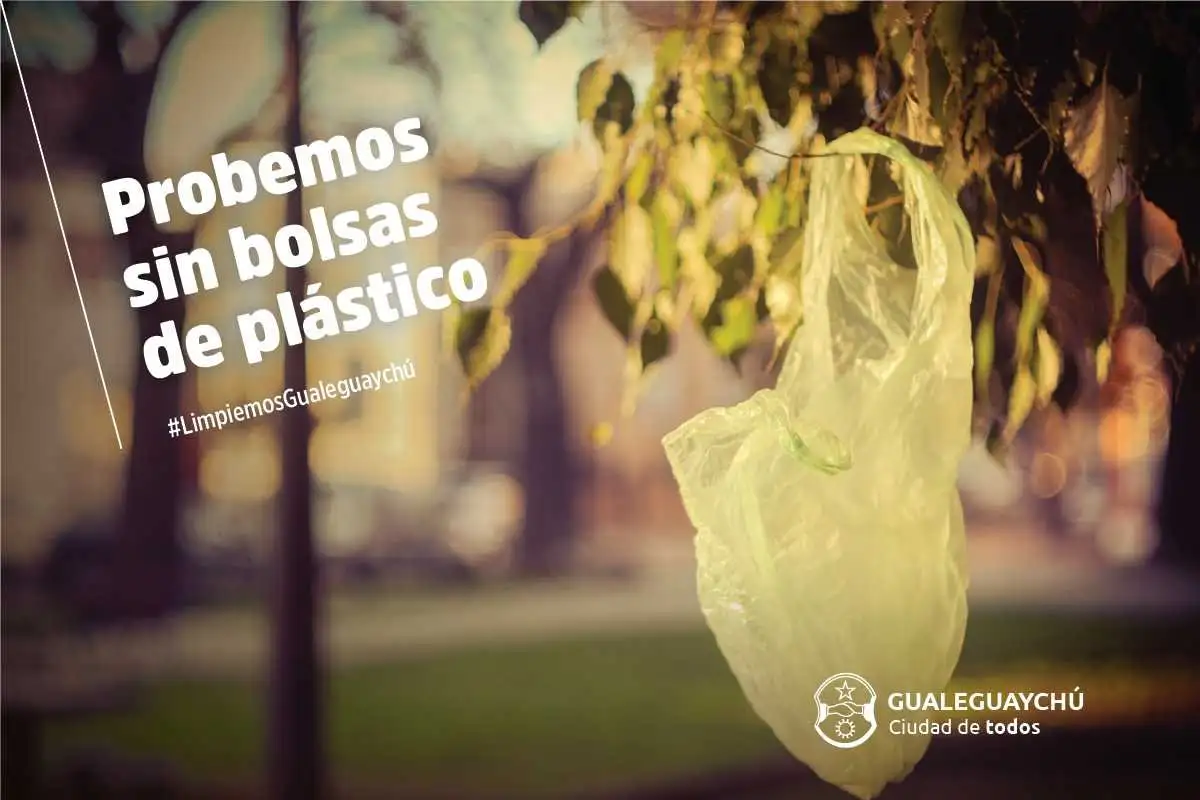Gualeguaychú busca reducir el uso de bolsas de polietileno