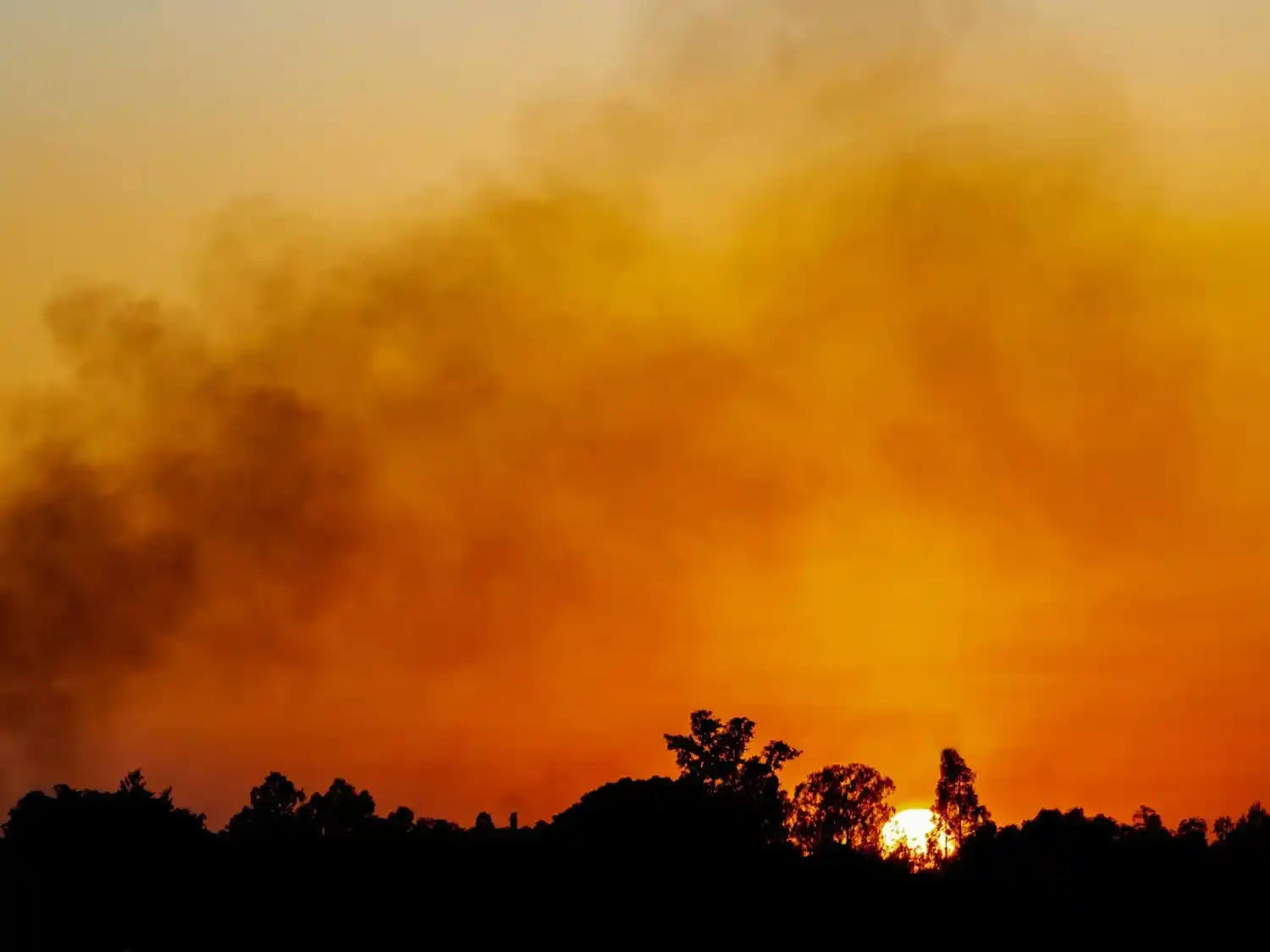 Olas de calor, incendios e inundaciones son la forma en que el desequilibrio climático se vuelve visible.