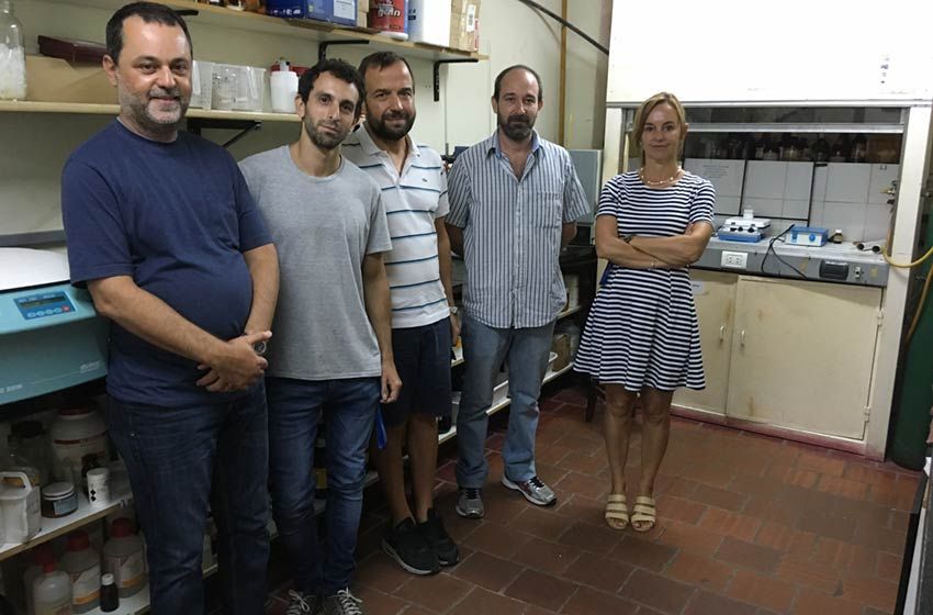 Científicos rosarinos avanzan en el desarrollo de un parche para el tratamiento de infecciones bucales