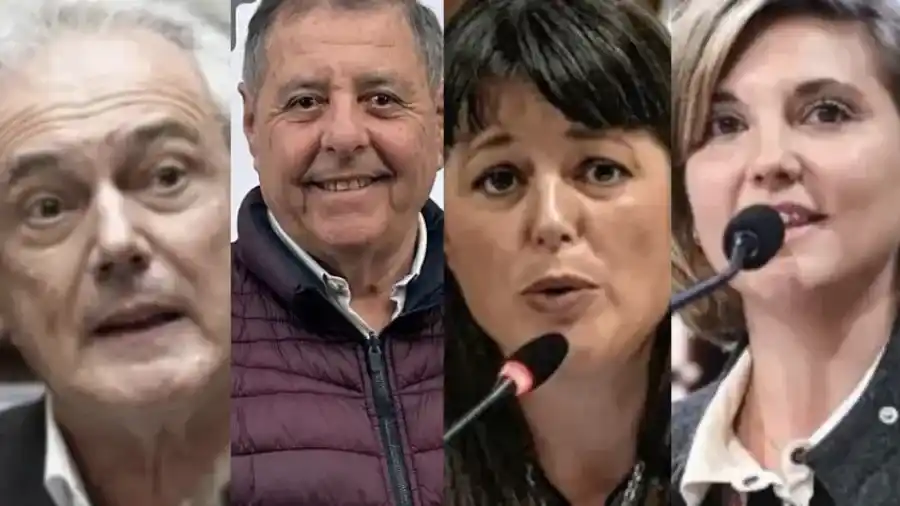 Qué harán los 8 legisladores entrerrianos a quienes se les terminó su período en el Congreso Nacional