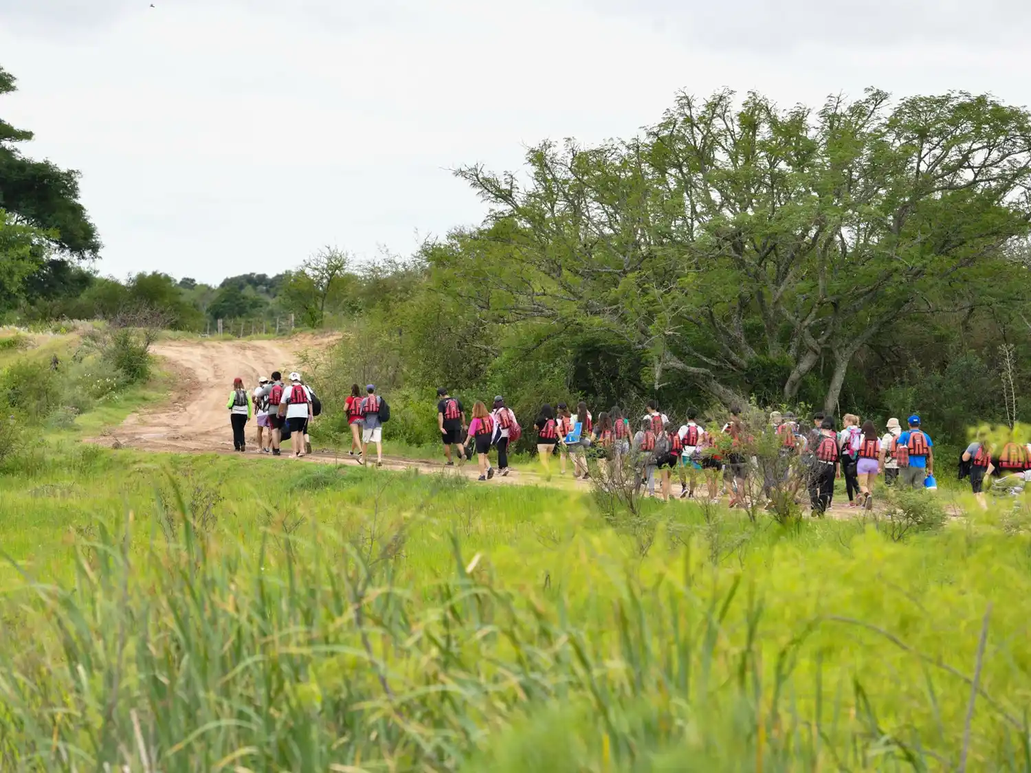 Con mano de obra local concretan mejoras a la infraestructura del Parque Islas y Canales Verdes