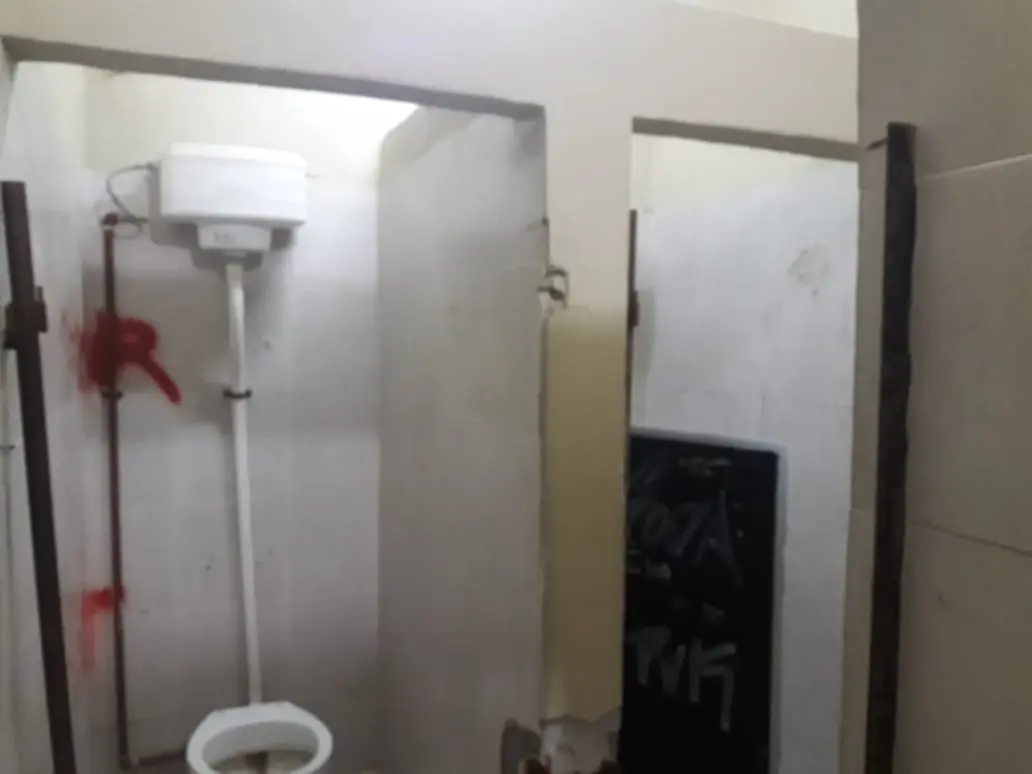 Baños de la terminal: “¿Puertas? ¿Para qué?”