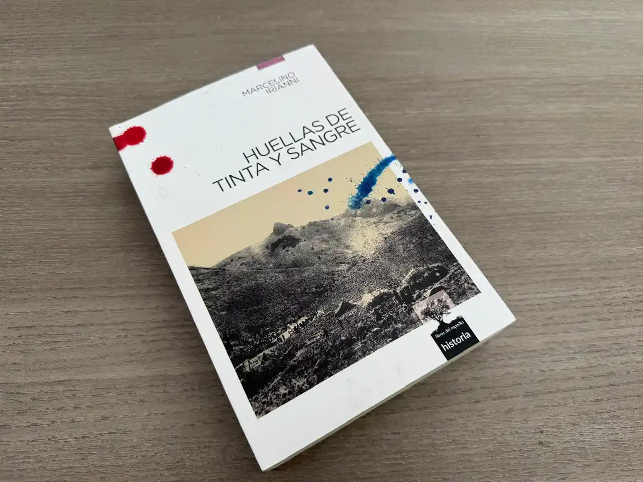 irianni marcelino 26-11-25 - 1