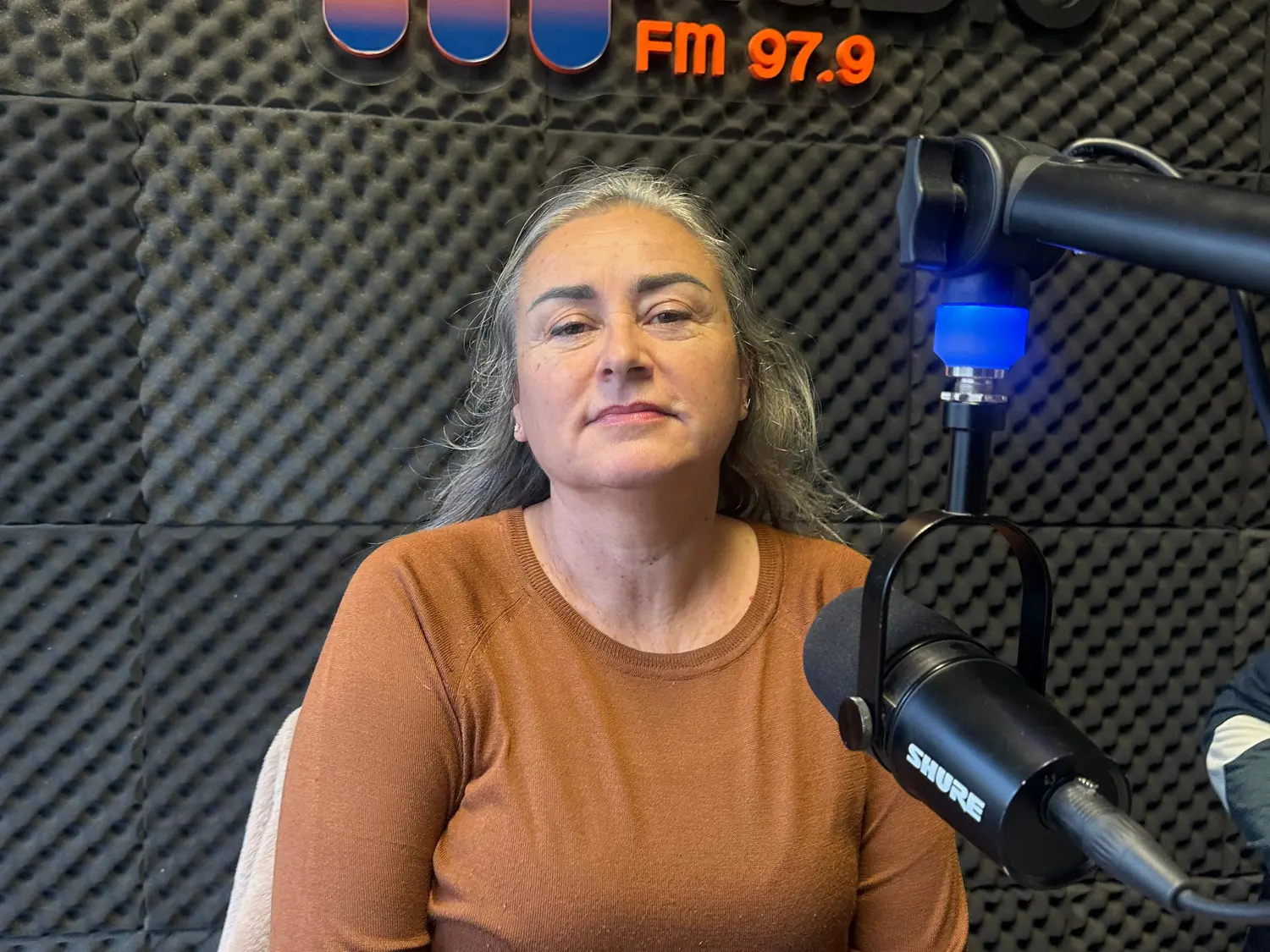 Fuga en la Defensoría Oficial: Aída Lhez apuntó contra la escasez de personal en el Poder Judicial