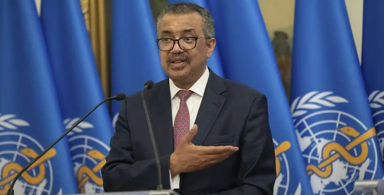 La OMS designó a 26 científicos que estudiarán el origen de la pandemia