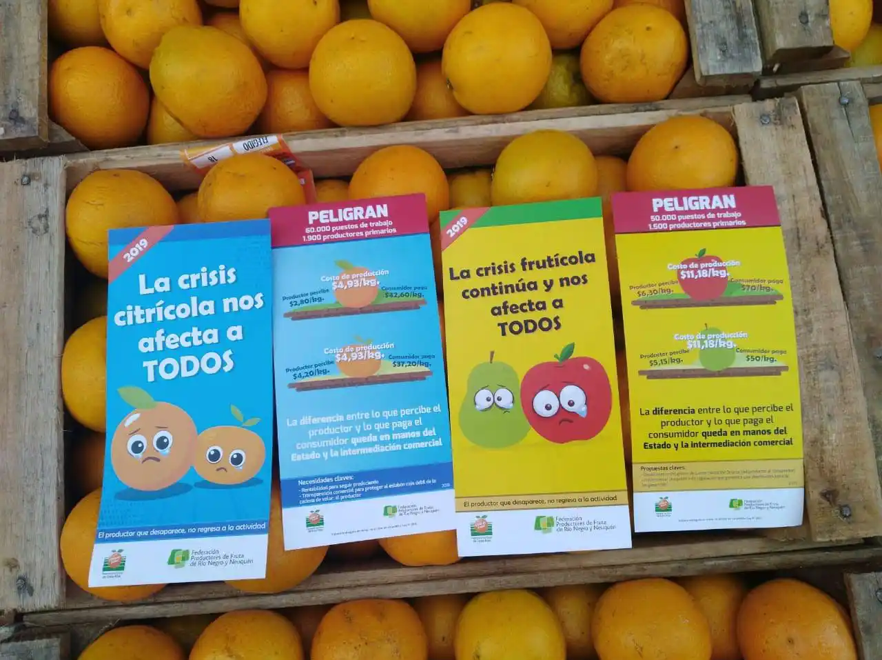 Frutazo en Plaza de Mayo: entrerrianos regalan 10 mil kilos de cítricos