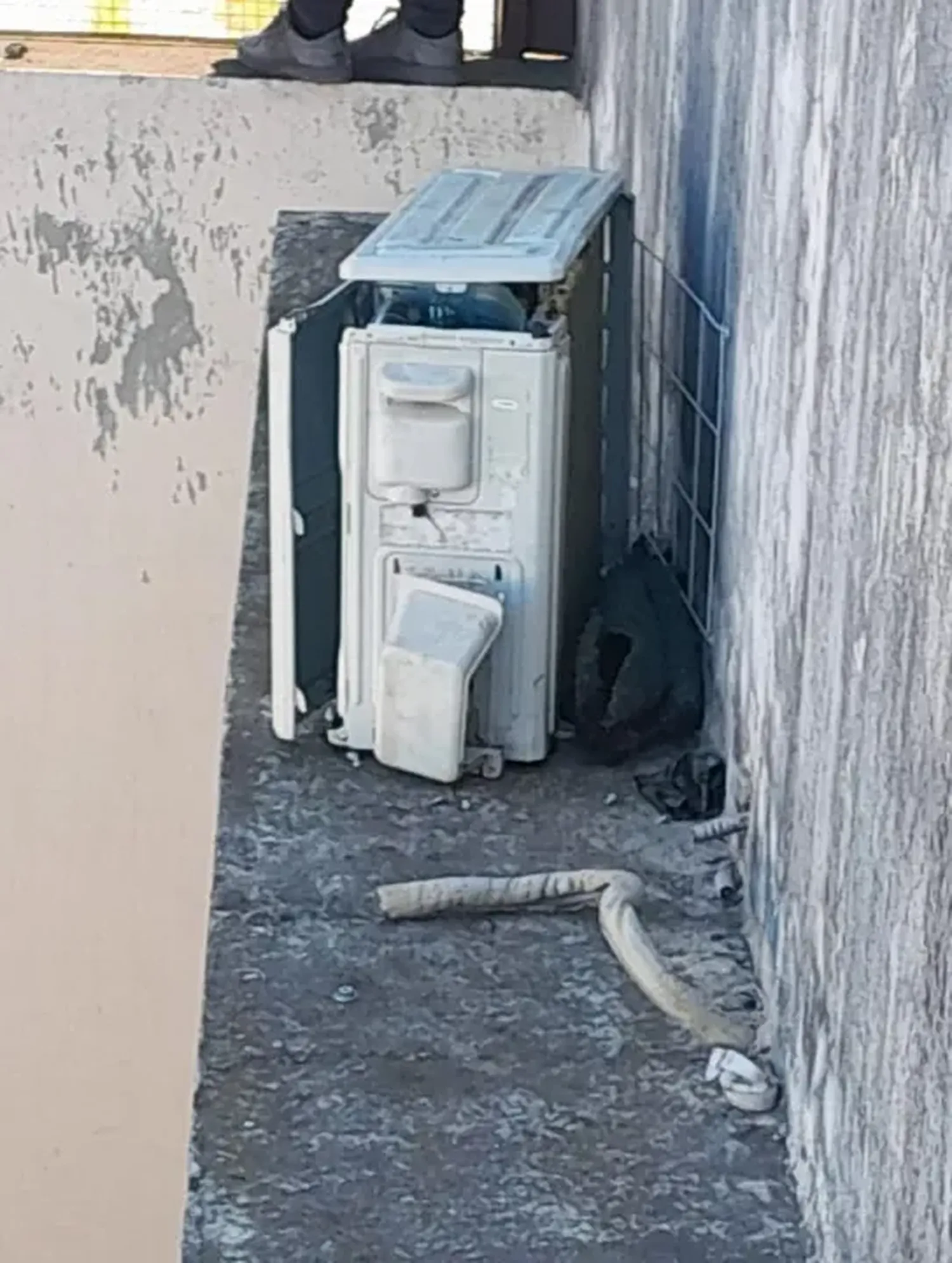 Robo en la escuela de Reconquista