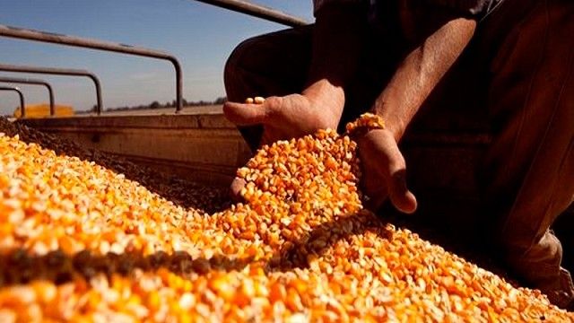 Sigue paro del campo pese a que el Gobierno rehabilitó las exportaciones de maíz