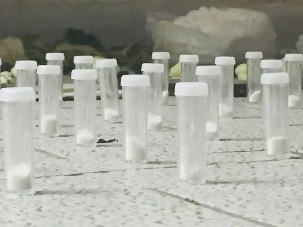 Desarticularon una banda narco vinculada con un clan que operaba en Bolivia y Perú