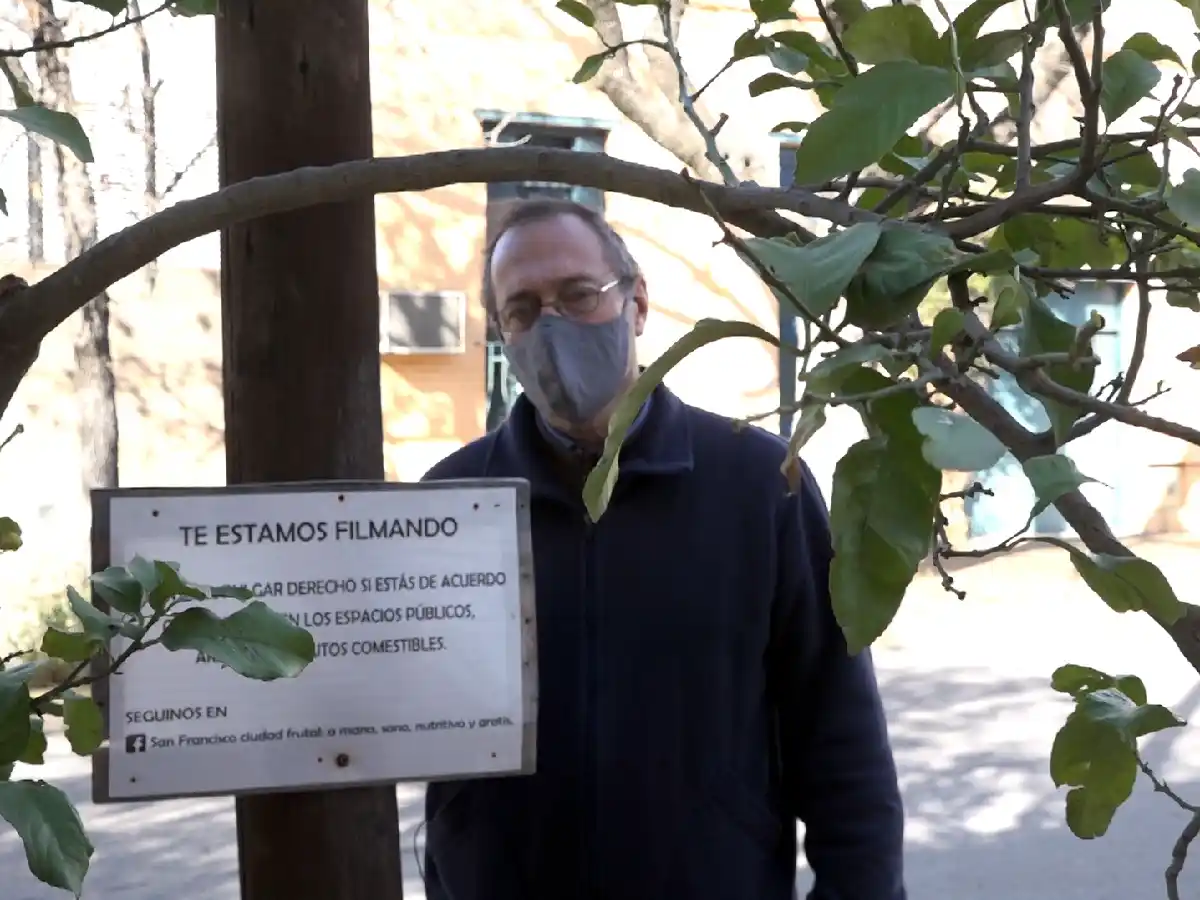 Árboles frutales en las calles de la ciudad