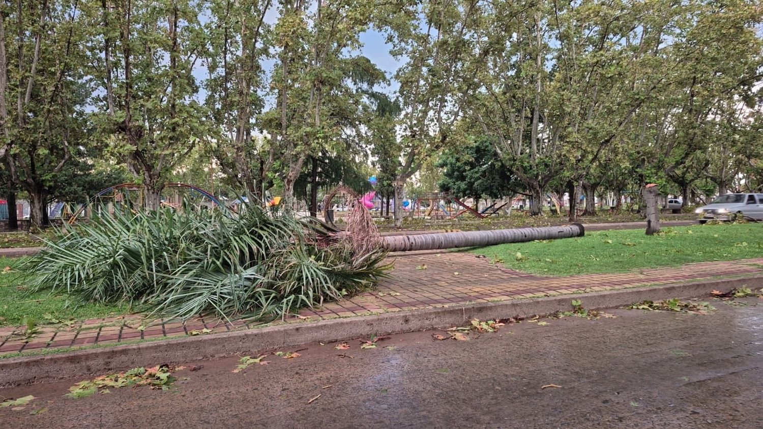 Casilda temporal - 6
