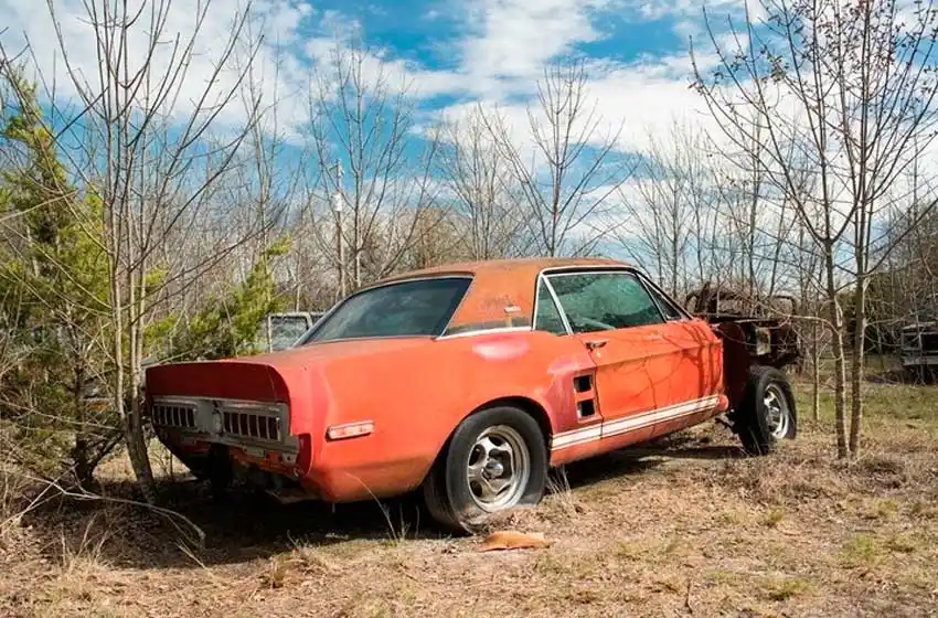 Tuvo un auto tirado a la intemperie por 20 años y no sabía que vale una fortuna