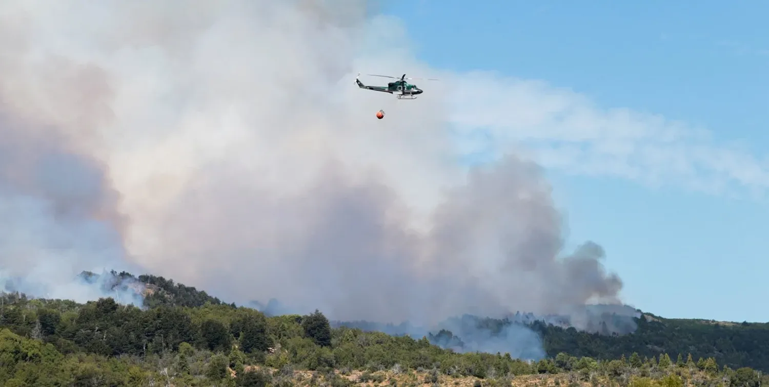 Continúa la lucha contra el fuego en el sur. Crédito: Martin Levicoy/Reuters