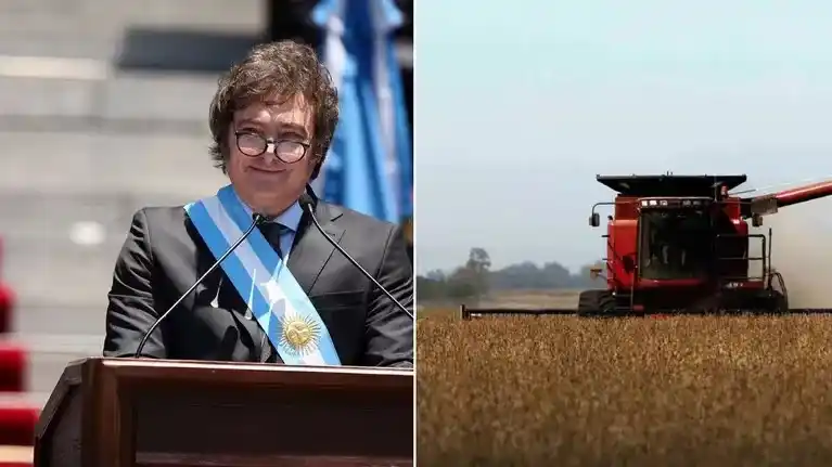 Los productores agropecuarios como Juan y Beto ¿son parte del agronegocio?
