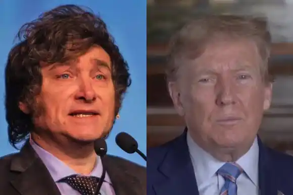 Milei adelantó que buscará firmar tratados de libre comercio con Estados Unidos