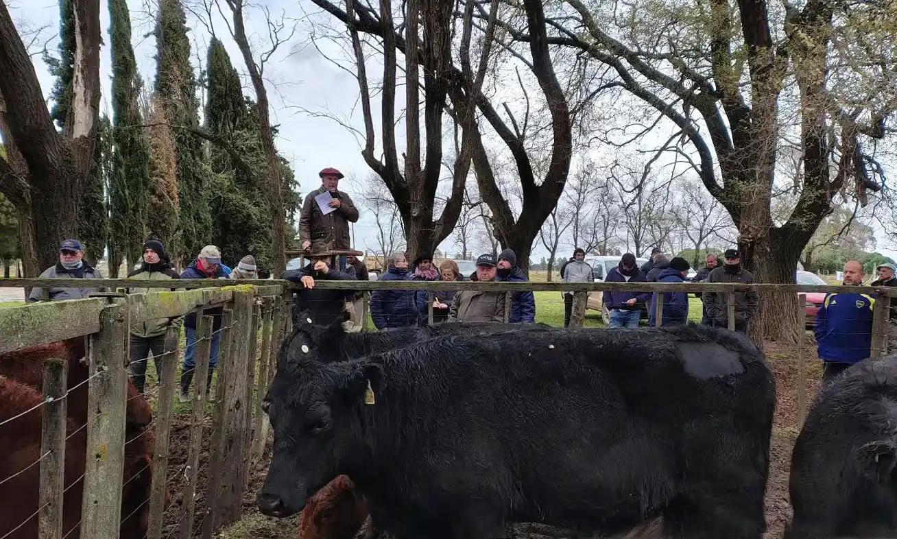 Buen paso de La Agrícola Ganadera por los corrales de San Cayetano